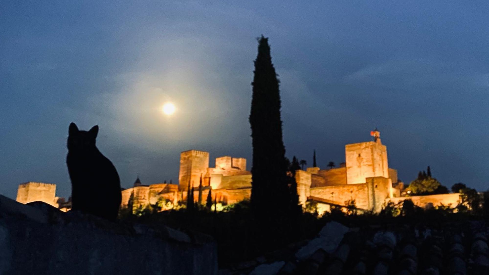 Casa Albaicin 1 Daire Granada Dış mekan fotoğraf